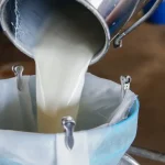 Experts Warn About the Dangers of Drinking Raw Milk What You Need to Know