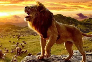 Mufasa: The Lion King Review - Disney's Prequel Gamble Pays Off Thanks to Barry Jenkins' Compelling Vision