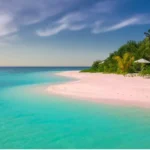 The Best Beaches in Devon