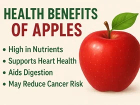10 Health Benefits of Apples Why You Should Eat Apples Every Day