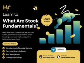 What Are Stock Fundamentals? Complete Beginner’s Guide